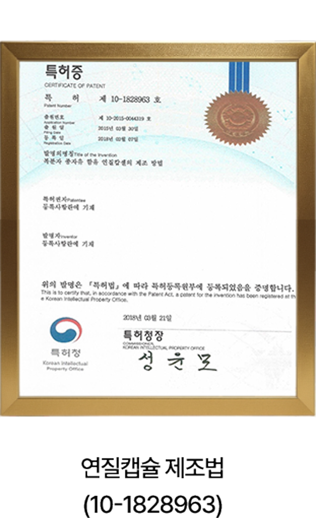 연질캡슐 제조법 (10-1828963)